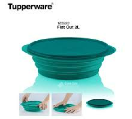 Tupperware Flat out Bowl