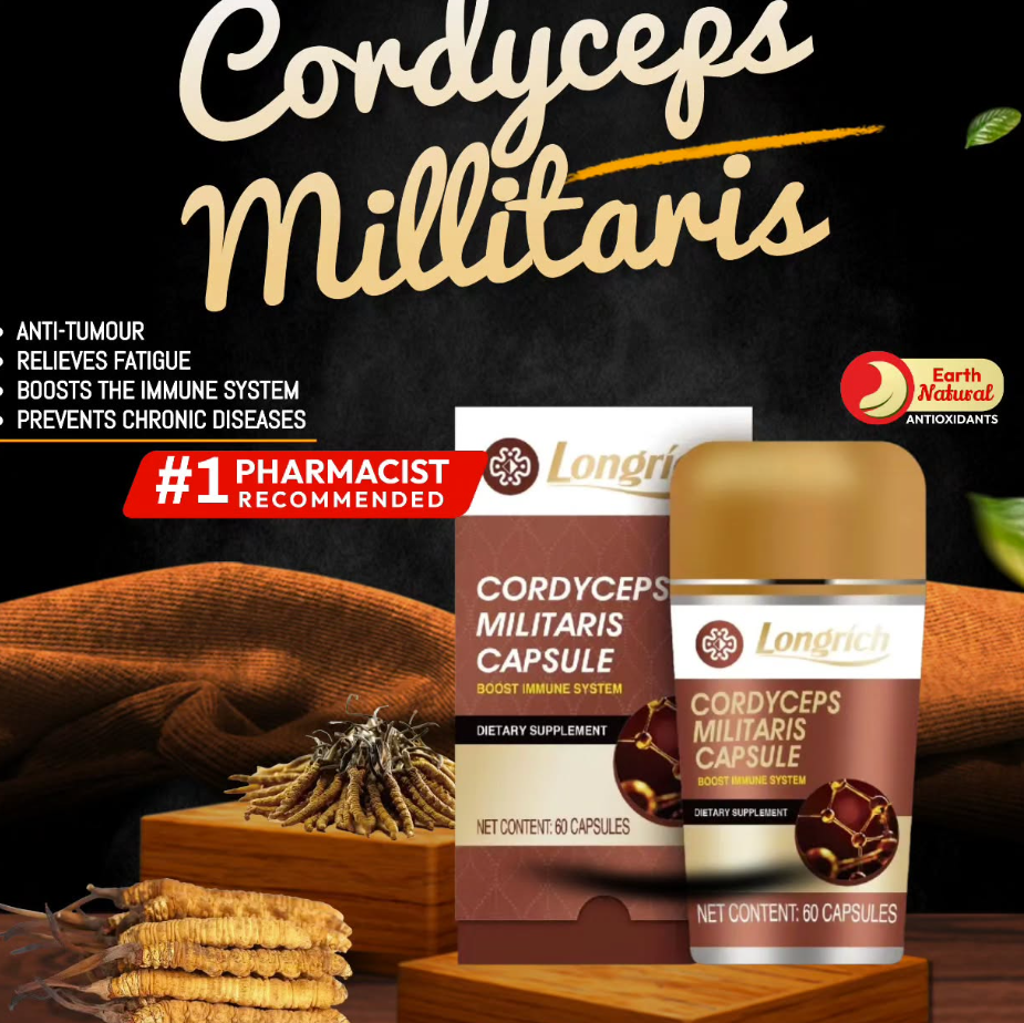 Cordyceps Militaris