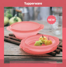 Tupperware Flat out Bowl
