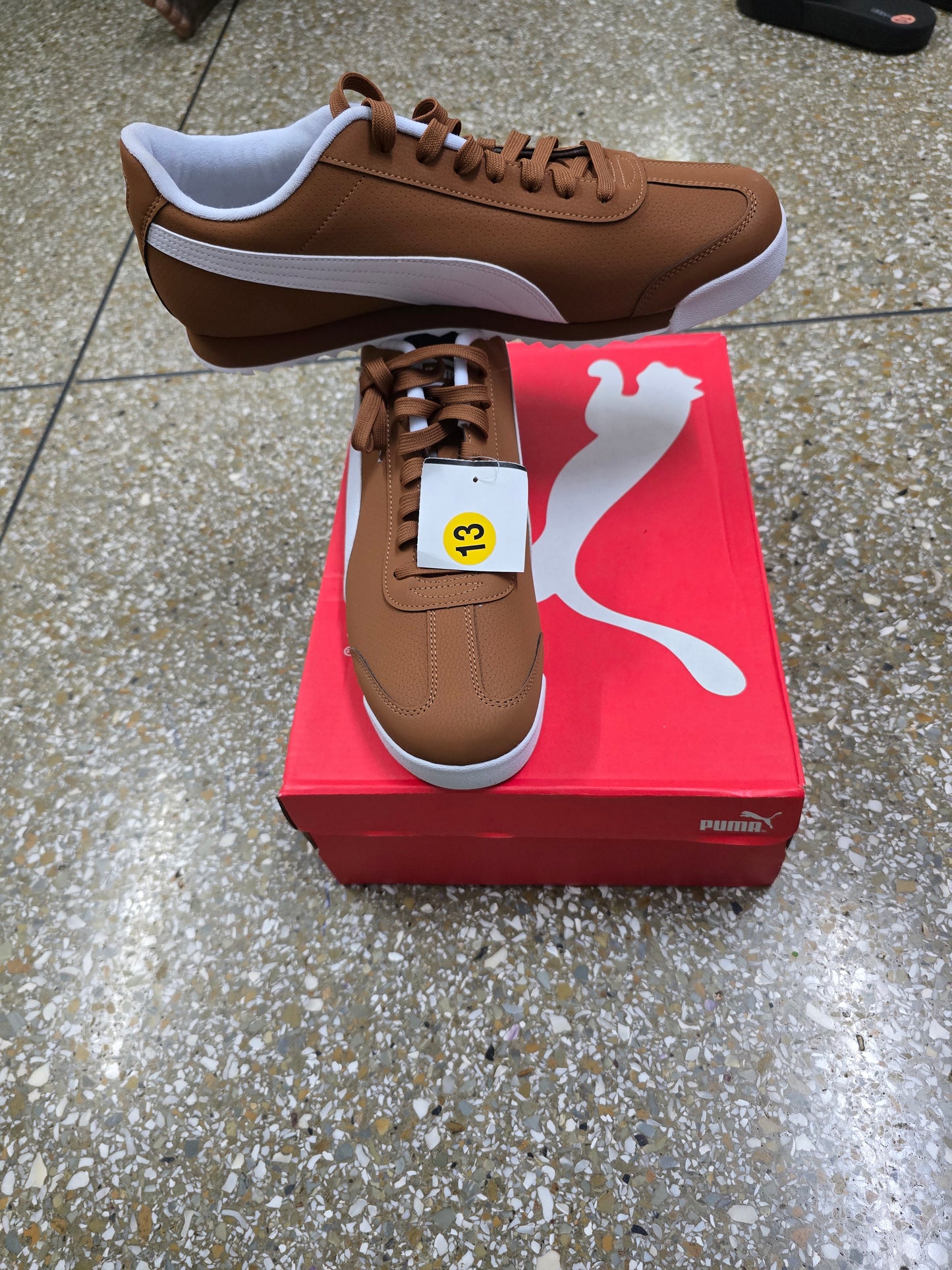 Puma brown