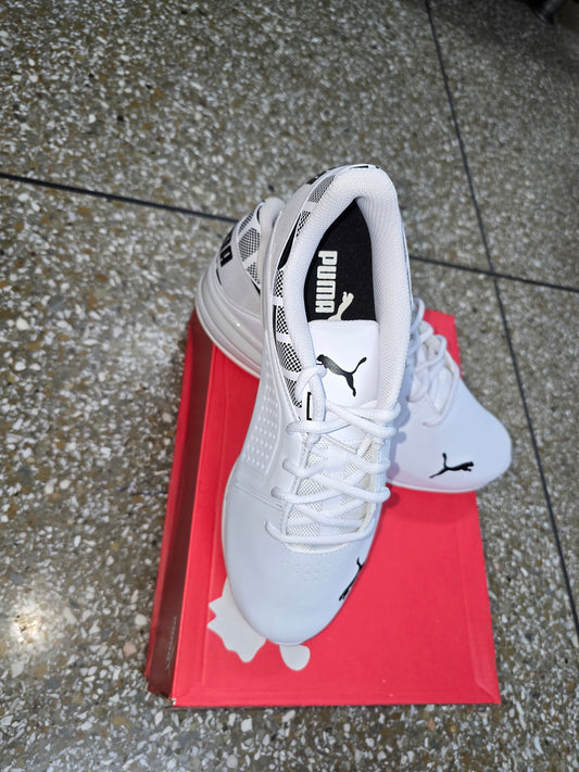 Puma white shoe