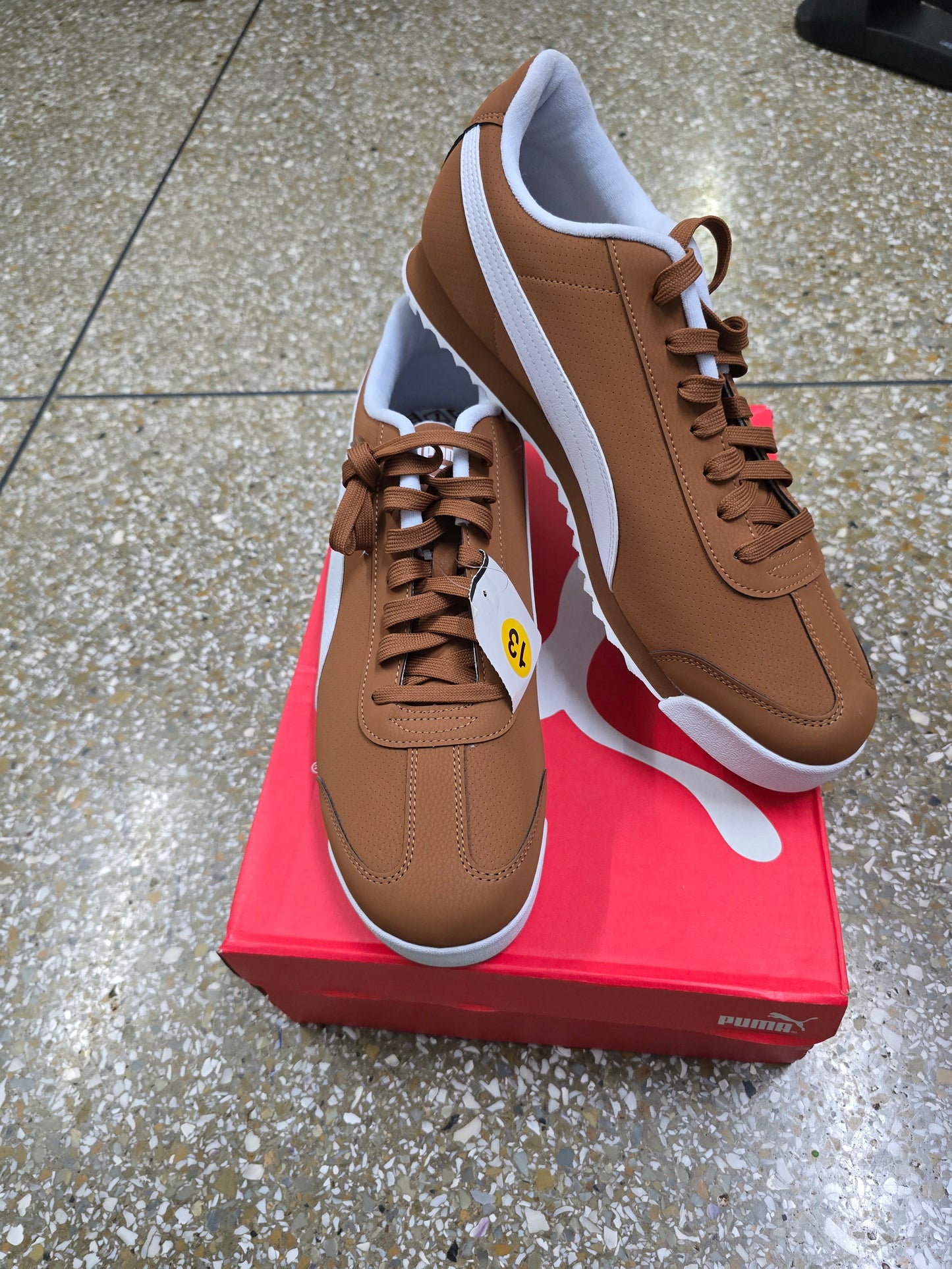 Puma brown